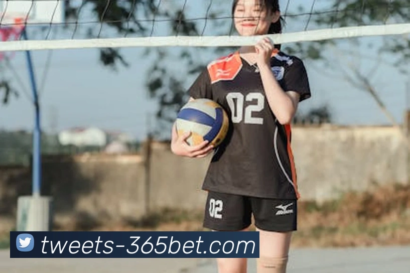 App Interface Preview